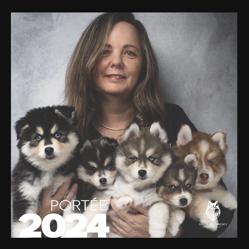 PORTÉE 2024