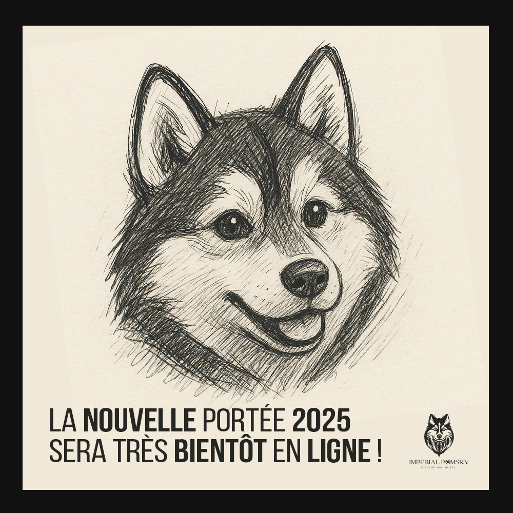 PORTÉE 2025